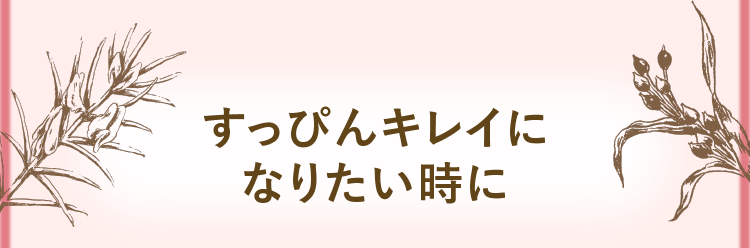 すっぴんキレイになりたい時に