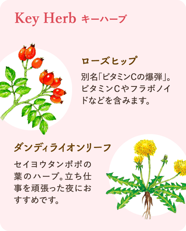 キーハーブ：ローズヒップ 別名「ビタミンCの爆弾」。ビタミンCやフラボノイドなどを含みます。 ダンディライオンリーフ セイヨウタンポポの葉のハーブ。立ち仕事を頑張った夜におすすめです。