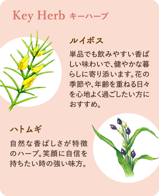 キーハーブ：ルイボス 単品でも飲みやすい香ばしい味わいで、健やかな暮らしに寄り添います。花の季節や、年齢を重ねる日々を心地よく過ごしたい方におすすめ。 ハトムギ 自然な香ばしさが特徴のハーブ。笑顔に自信を持ちたい時の強い味方。