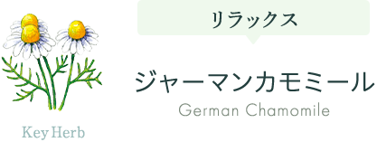ジャーマンカモミール
