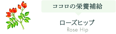 ローズヒップ