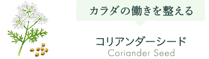 コリアンシード