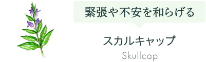 スカルキャップ