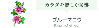 ブルーマロウ