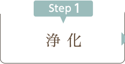 浄化