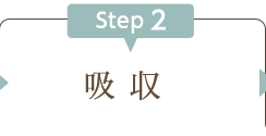 吸収