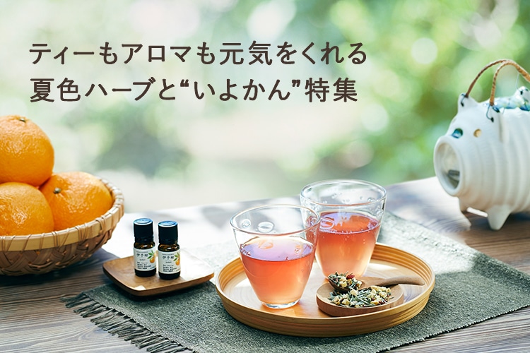 元気をくれる夏色ハーブといよかん