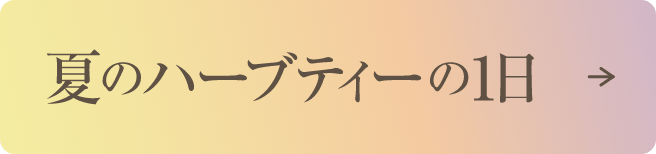 Morning～Night 時間帯別おすすめハーブティー