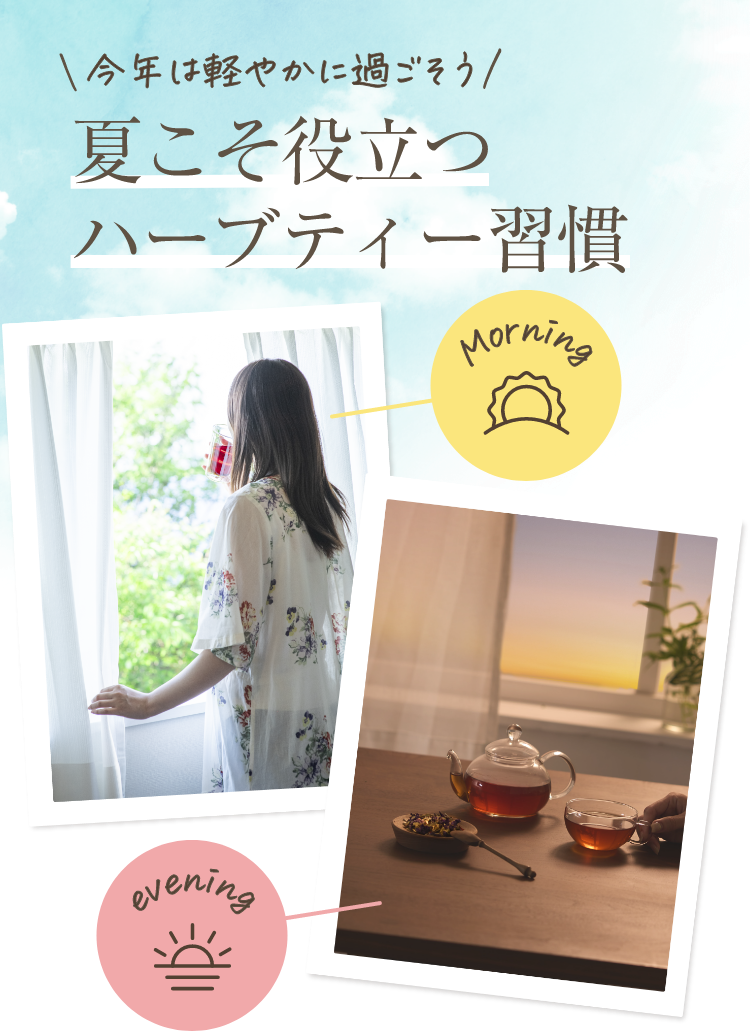 夏こそ役立つハーブティー習慣