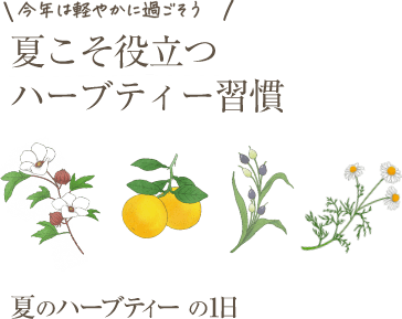 夏のハーブティーの1日