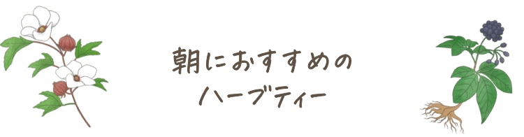 朝におすすめのハーブティー