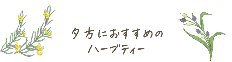 夕方におすすめのハーブティー