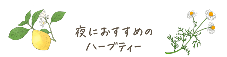 夜におすすめのハーブティー