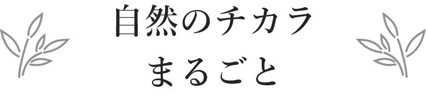 自分のチカラまるごと