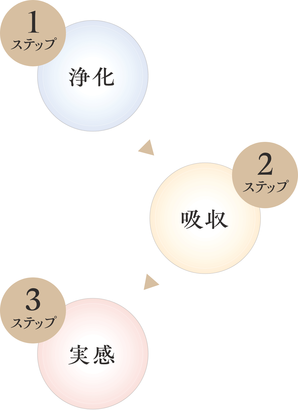 1ステップ：浄化 → 2ステップ：吸収 → 3ステップ：実感