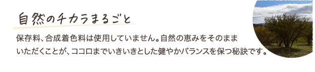 自然のチカラまるごと