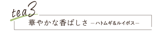 tea4 フルーティーな甘酸っぱさ クランベリー＆ハイビスカス