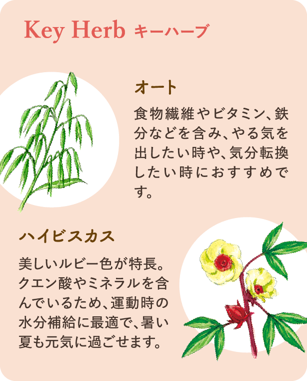 キーハーブ：【オート】食物繊維やビタミン、鉄分などを含み、やる気を出したい時や、気分転換したい時におすすめです。【ハイビスカス】美しいルビー色が特長。クエン酸やミネラルを含んでいるため、運動時の水分補給に最適で、暑い夏も元気に過ごせます。