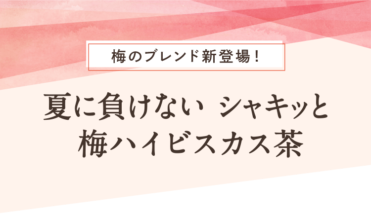 夏に負けないシャキッと梅ハイビスカス茶