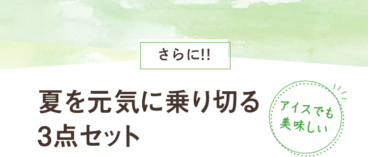 夏を元気に乗り切る3点セット