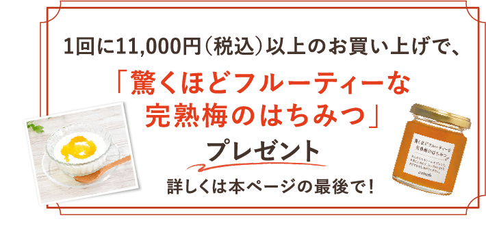 1回に11,000円（税込）以上のお買い上げで、「驚くほどフルーティーな完熟梅のはちみつ」プレゼント 詳しくは本ページの最後で！