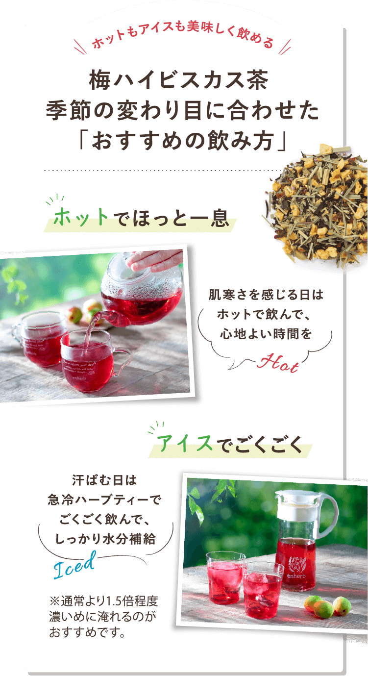 ホットもアイスも美味しく飲める 梅ハイビスカス茶 季節の変わり目に合わせた「おすすめの飲み方」ホットでほっと一息：肌寒さを感じる日はホットで飲んで、心地よい時間を。 アイスでごくごく：汗ばむ日は急冷ハーブティーでごくごく飲んで、しっかり水分補給 ※通常より1.5倍濃いめに淹れるのがおすすめです。