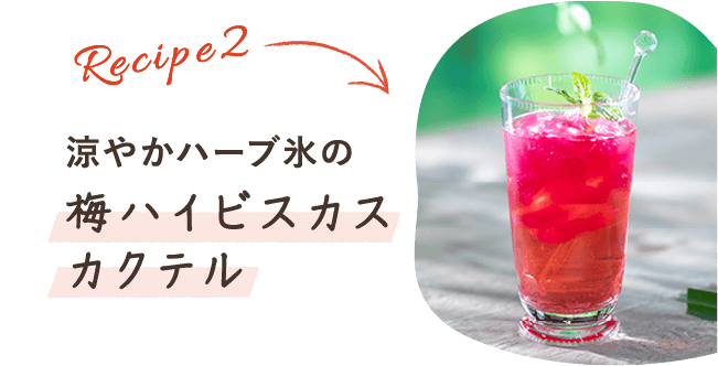 レシピ2 涼やかハーブ氷の梅ハイビスカスカクテル