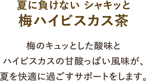 夏に負けない シャキッと梅ハイビスカス茶　梅のキュッとした酸味とハイビスカスの甘酸っぱい風味が、夏を快適に過ごすサポートをします。