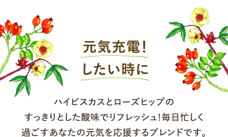 元気充電！したい時に ハイビスカスとローズヒップのすっきりとした酸味でリフレッシュ！毎日忙しく過ごすあなたの元気を応援するブレンドです。