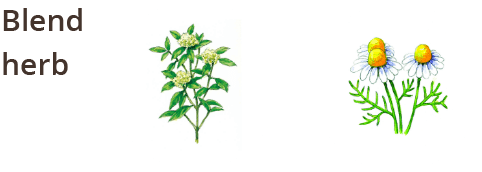 檸檬 KeyHerb