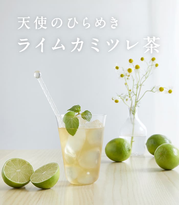 天使のひらめき ライムカミツレ茶