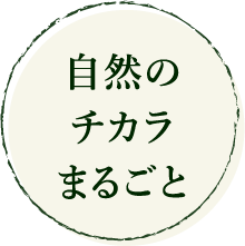自然のチカラまるごと