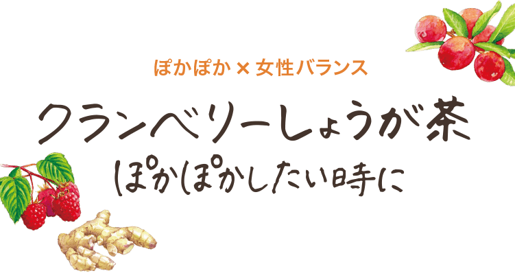 ぽかぽか×女性バランス クランベリーしょうが茶