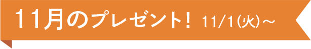 11月のプレゼント！ 11/1(火)~