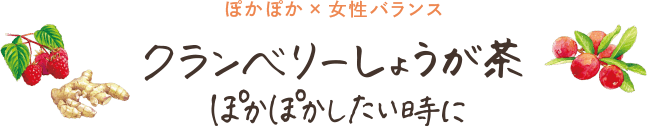 ぽかぽか×女性バランス クランベリーしょうが茶