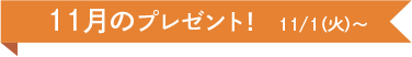 11月のプレゼント！ 11/1(火)~