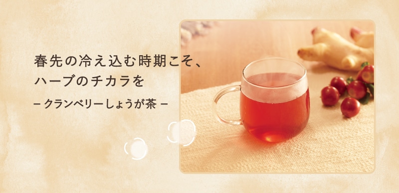 ハーブのチカラで冬でもぽかぽか しょうが茶特集