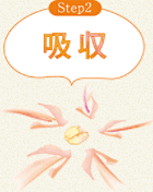 Step2 吸収