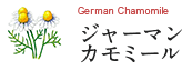 German Chamomile ジャーマンカモミール