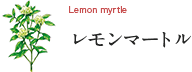 Lemon myrtle レモンマートル