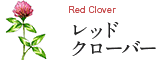 Red Clover レッドクローバー