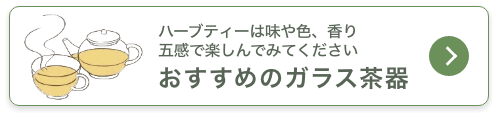 ハーブティーは味や色、香り五感で楽しんでみてくださいおすすめのガラス茶器