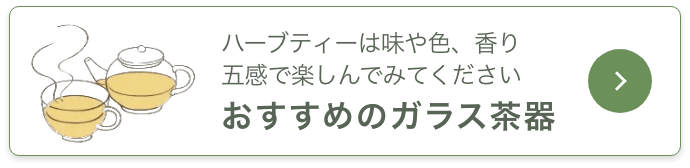 ハーブティーは味や色、香り五感で楽しんでみてくださいおすすめのガラス茶器