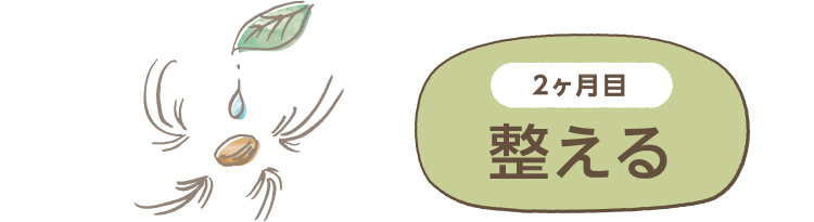 2ヶ月目 整える