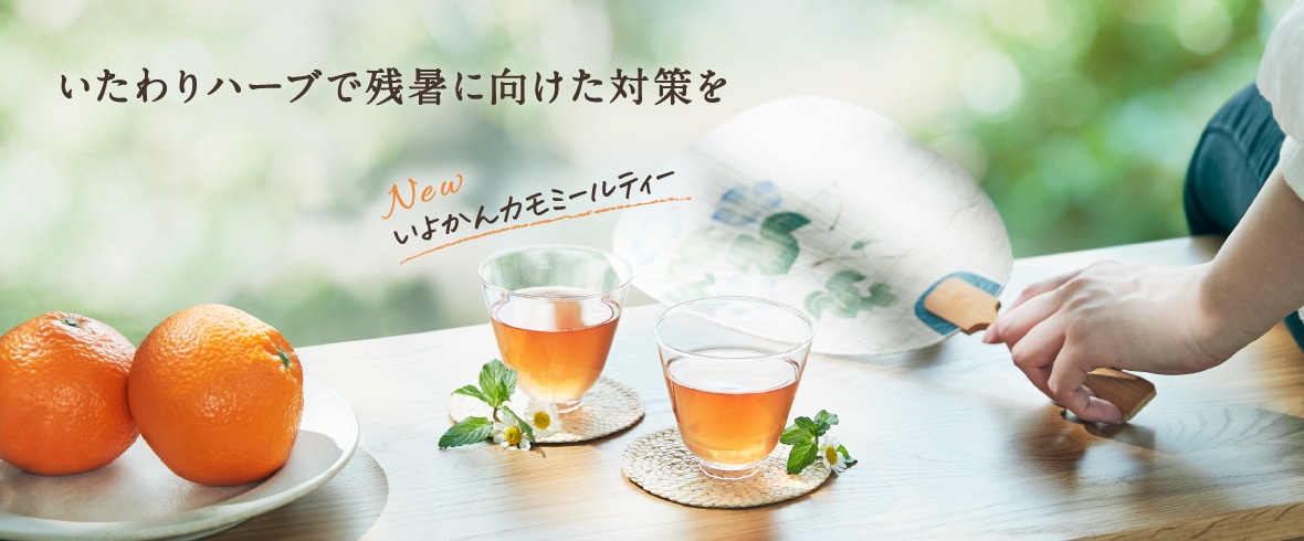 いよかんカモミール特集