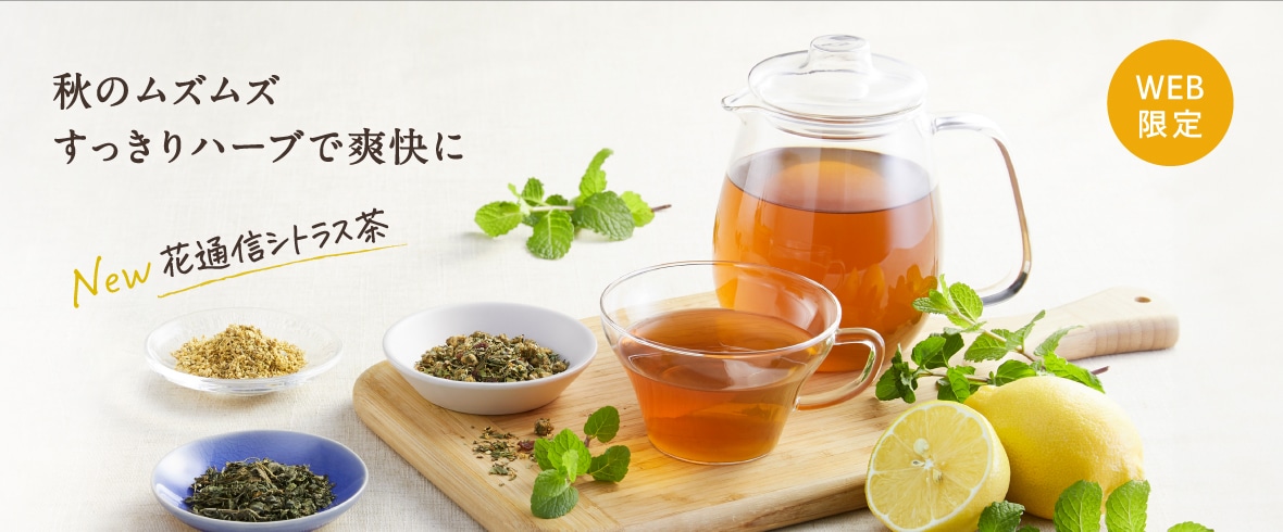 花粉特集