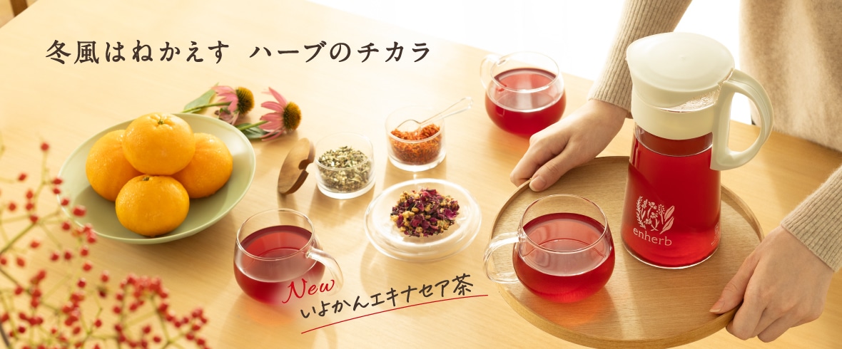 冬風はねかえす いよかんエキナセア茶特集
