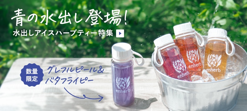 クルーバー EXTRA ブランデー ハープ型ボトル サントリー 国産ブランデー ハープボトル 600ml エクストラ 未開封