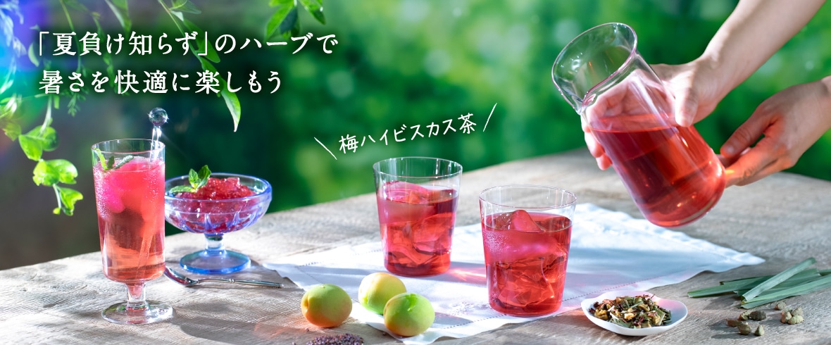 シャキッと梅ハイビスカス茶特集